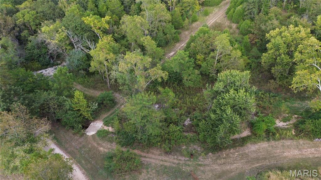 Photo 8 - Land for sale – 4800  County Road 4210   Salem, MO