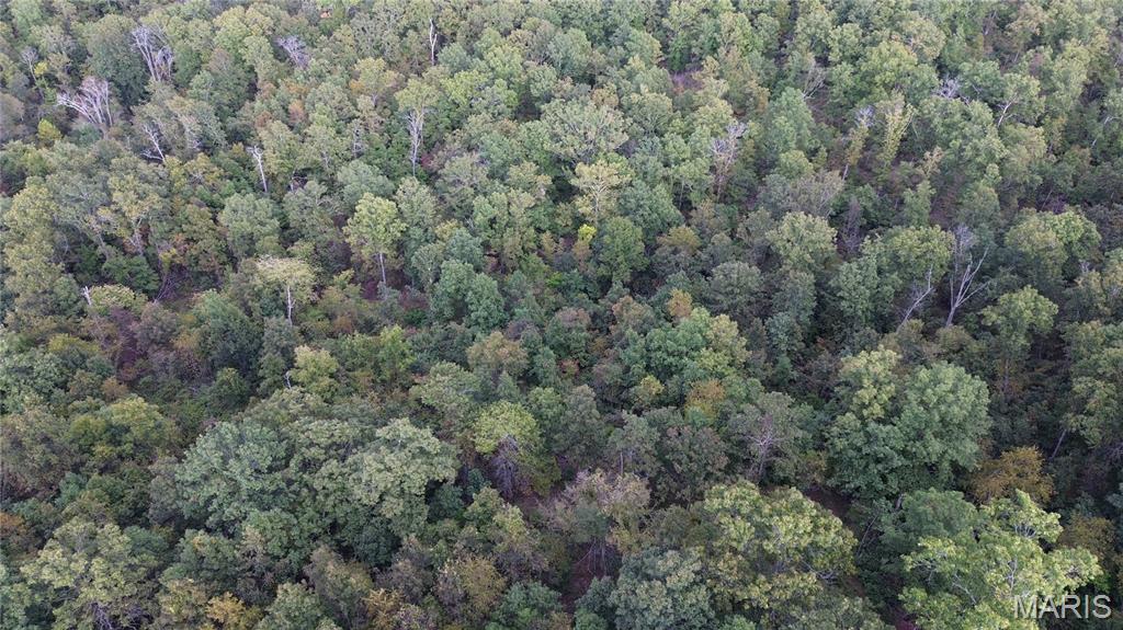 Photo 45 - Land for sale – 4800  County Road 4210   Salem, MO