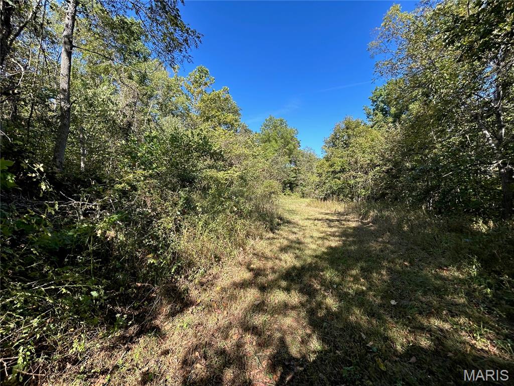 Photo 39 - Land for sale – 4800  County Road 4210   Salem, MO