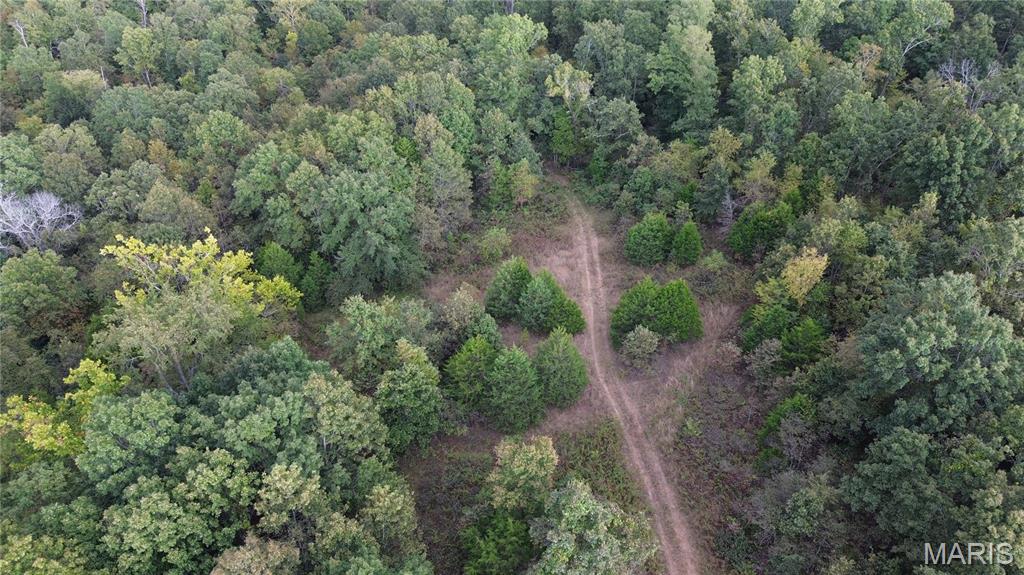 Photo 16 - Land for sale – 4800  County Road 4210   Salem, MO
