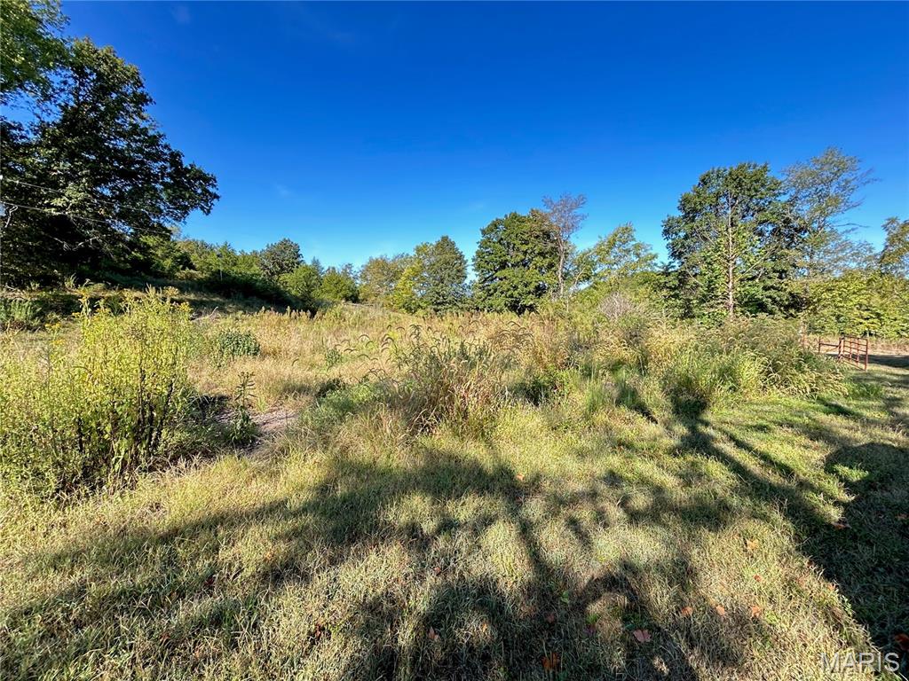 Photo 20 - Land for sale – 4800  County Road 4210   Salem, MO