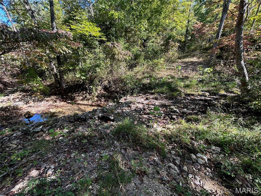 Photo 35 - Land for sale – 4800  County Road 4210   Salem, MO