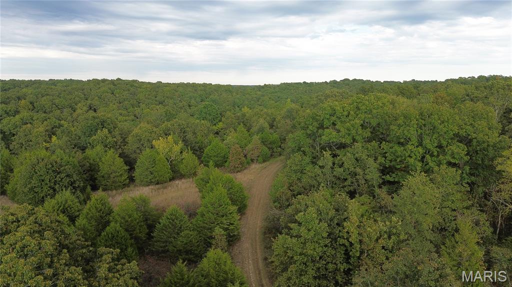 Photo 11 - Land for sale – 4800  County Road 4210   Salem, MO