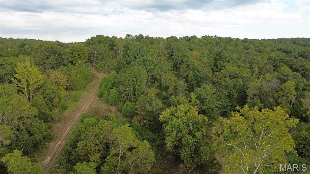 Photo 9 - Land for sale – 4800  County Road 4210   Salem, MO