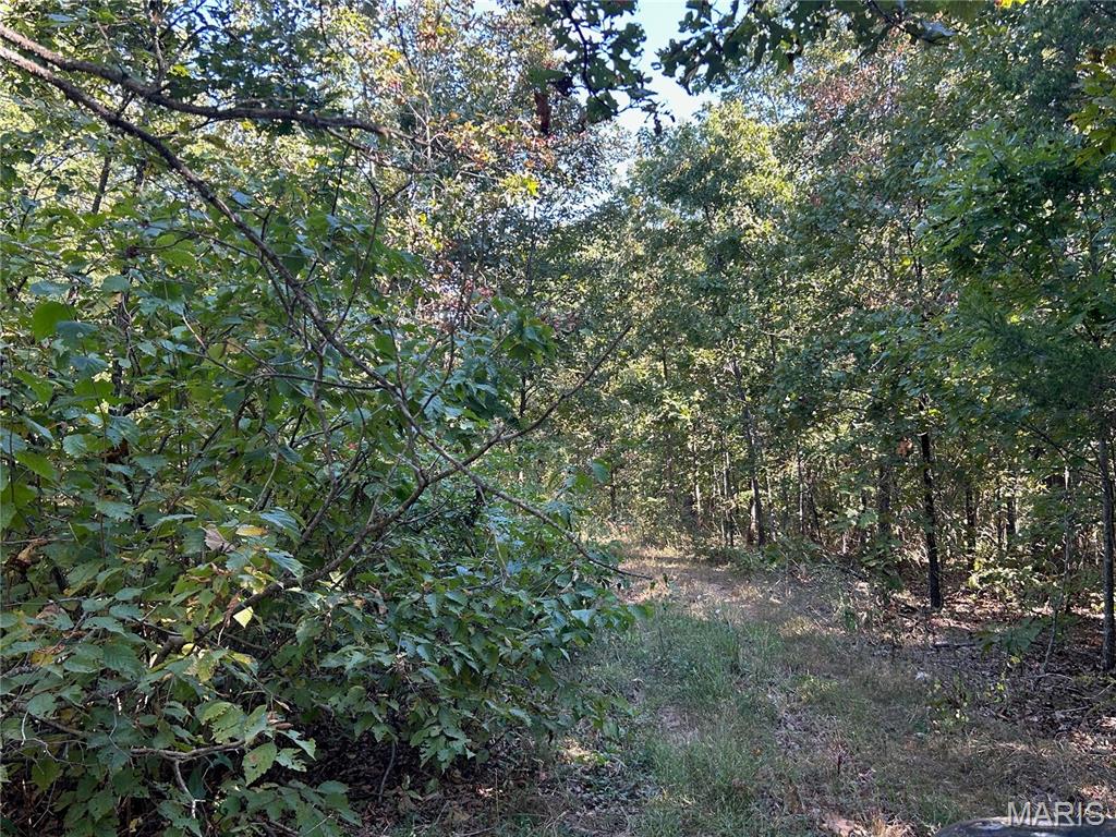 Photo 31 - Land for sale – 4800  County Road 4210   Salem, MO