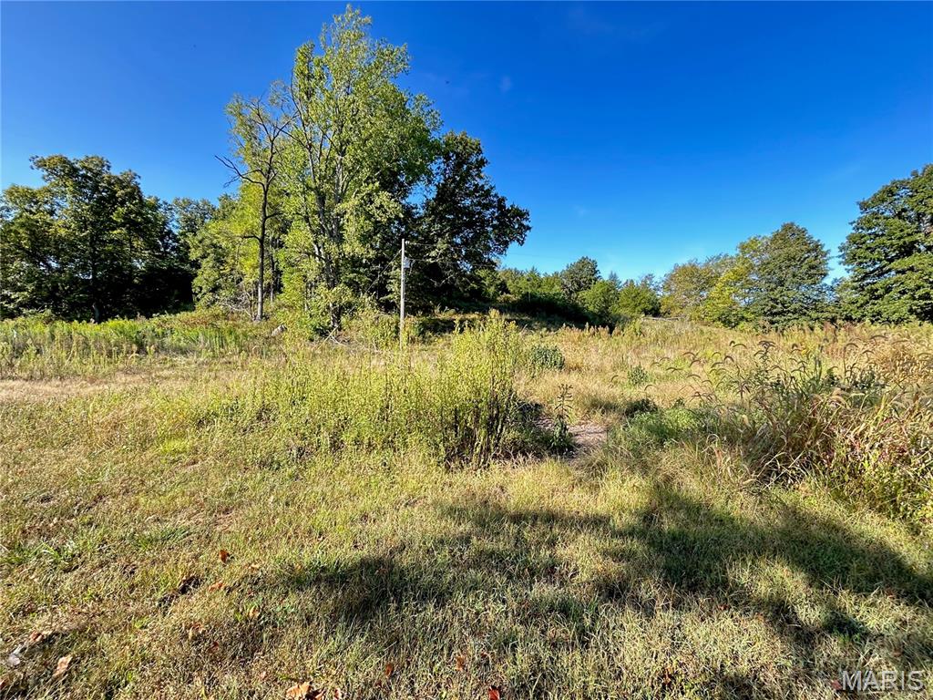 Photo 21 - Land for sale – 4800  County Road 4210   Salem, MO