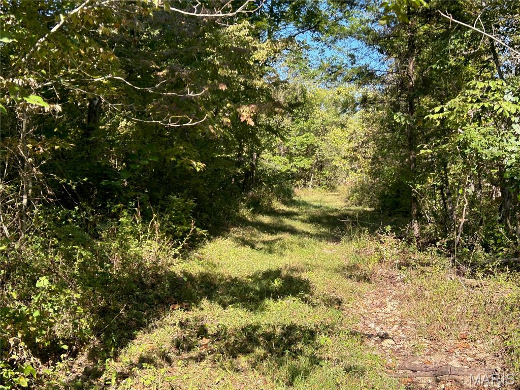 Photo 43 - Land for sale – 4800  County Road 4210   Salem, MO