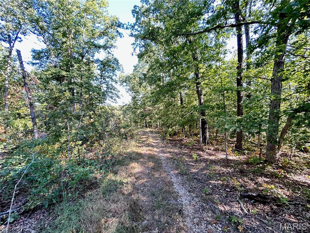 Photo 32 - Land for sale – 4800  County Road 4210   Salem, MO