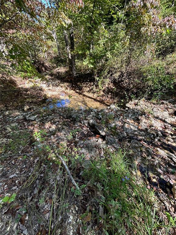 Photo 36 - Land for sale – 4800  County Road 4210   Salem, MO