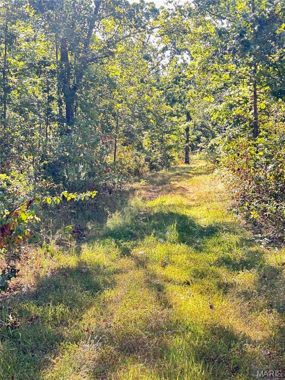 Photo 30 - Land for sale – 4800  County Road 4210   Salem, MO