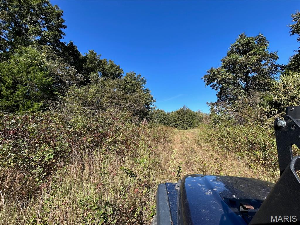 Photo 29 - Land for sale – 4800  County Road 4210   Salem, MO