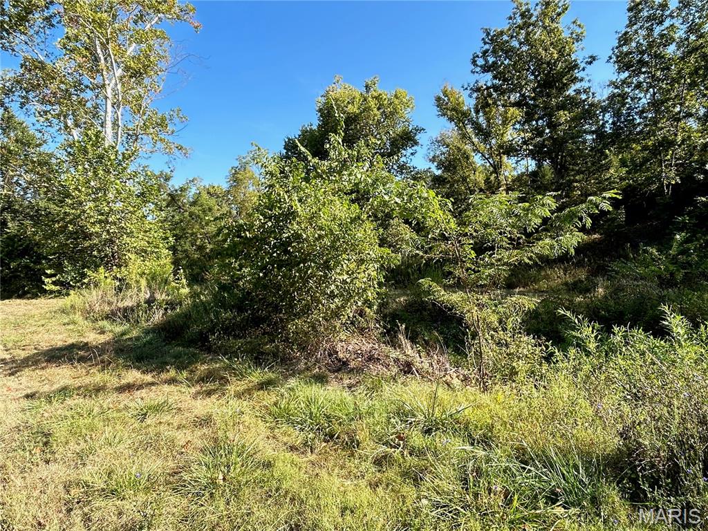 Photo 24 - Land for sale – 4800  County Road 4210   Salem, MO