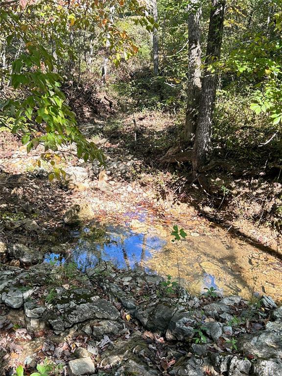 Photo 37 - Land for sale – 4800  County Road 4210   Salem, MO