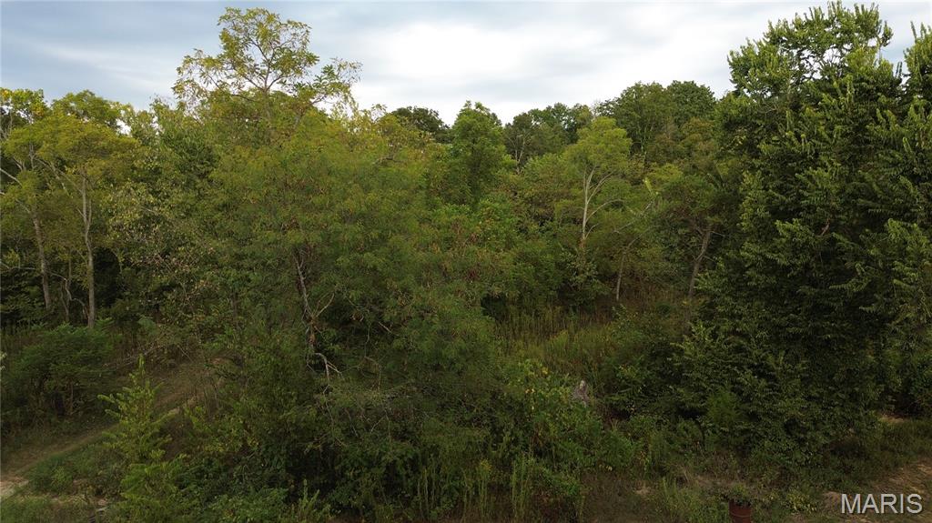 Photo 7 - Land for sale – 4800  County Road 4210   Salem, MO