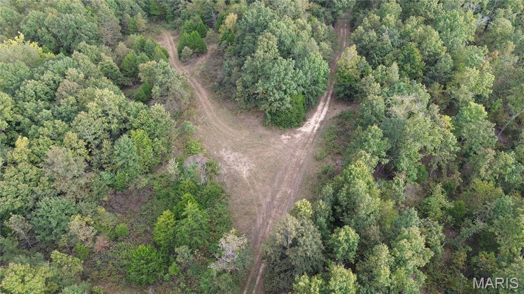 Photo 15 - Land for sale – 4800  County Road 4210   Salem, MO