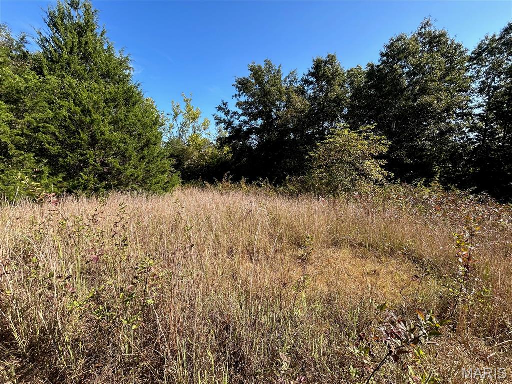 Photo 27 - Land for sale – 4800  County Road 4210   Salem, MO