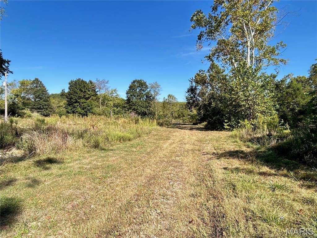 Photo 23 - Land for sale – 4800  County Road 4210   Salem, MO