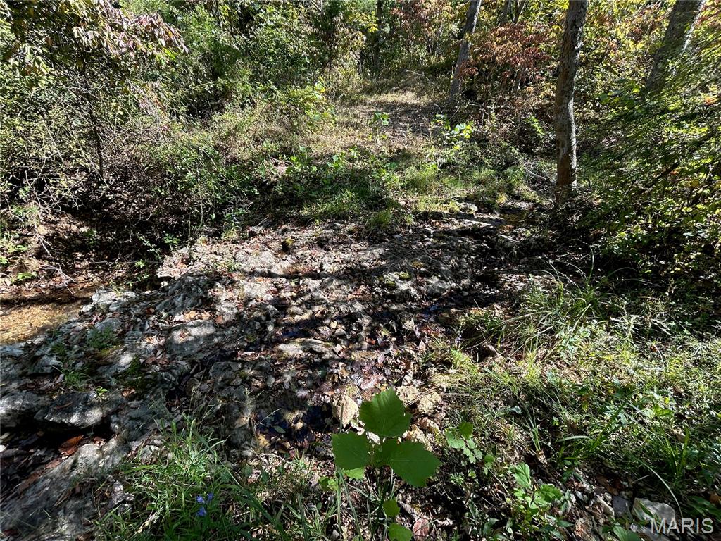 Photo 38 - Land for sale – 4800  County Road 4210   Salem, MO