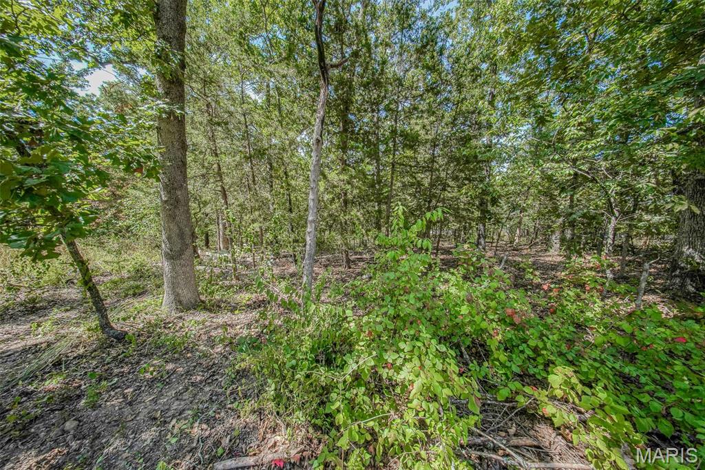 Photo 3 - Land for sale – 0  Faust   Rolla, MO