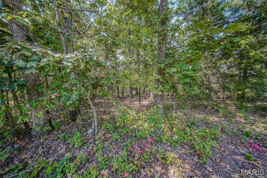 Photo 4 - Land for sale – 0  Faust   Rolla, MO