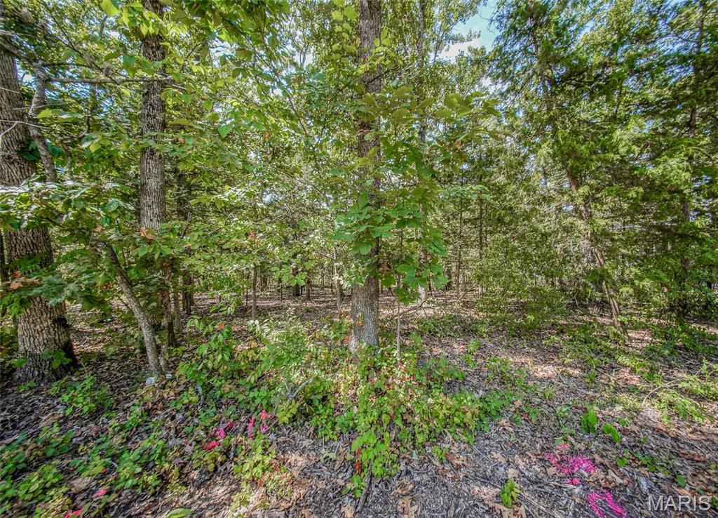 Photo 2 - Land for sale – 0  Faust   Rolla, MO