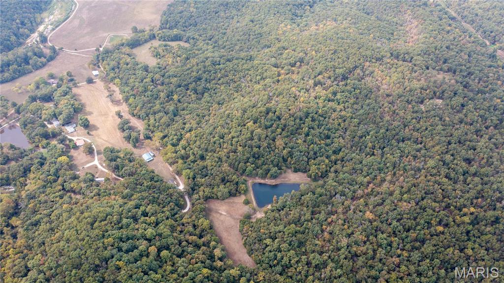 Photo 8 - Farm for sale – 13452  Private Drive 7139   Rolla, MO