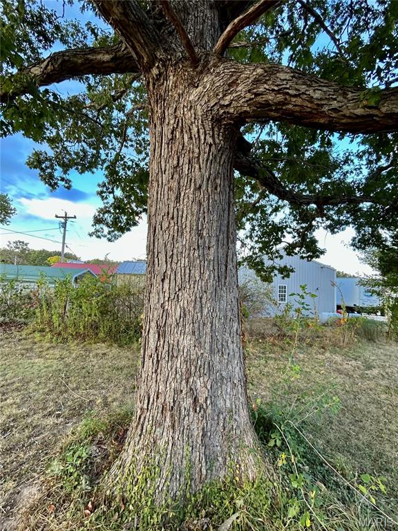 Photo 33 - Residential for sale – 2912 S Highway 19   Salem, MO