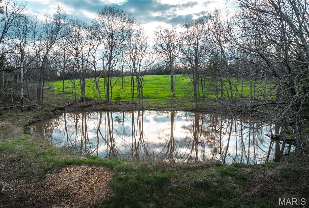 Photo 4 - Farm for sale – TBD 00  County Road 213   Vienna, MO
