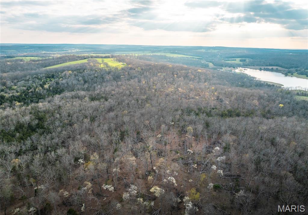 Photo 10 - Farm for sale – TBD 00  County Road 213   Vienna, MO