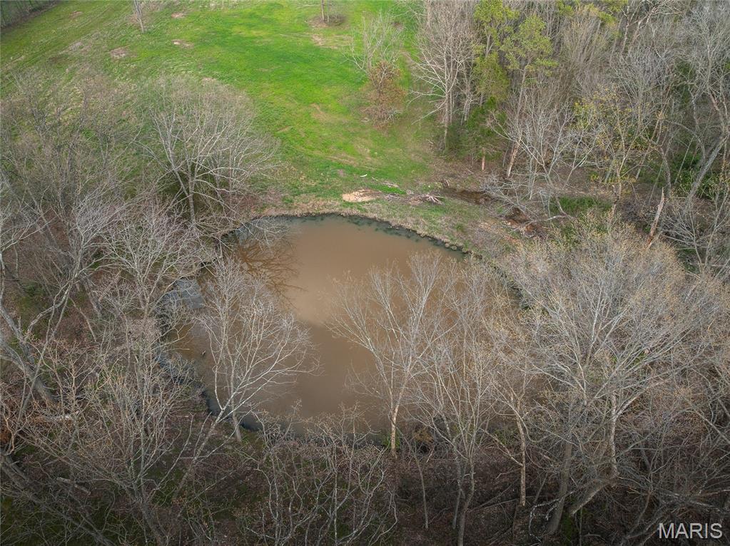 Photo 9 - Farm for sale – TBD 00  County Road 213   Vienna, MO