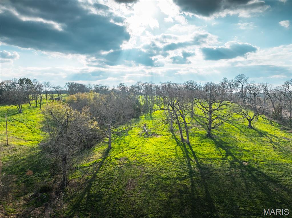 Photo 7 - Farm for sale – 32271  Maries Road 213   Vienna, MO