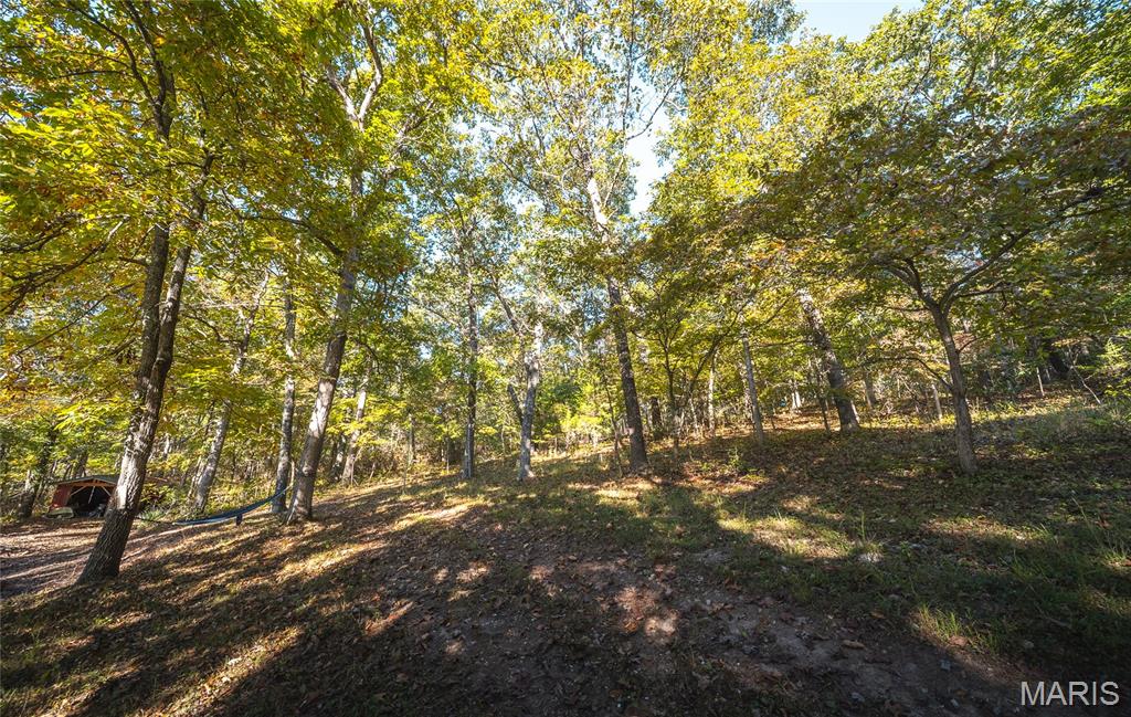 Photo 35 - Residential for sale – 13748  Private Drive 3625   St James, MO
