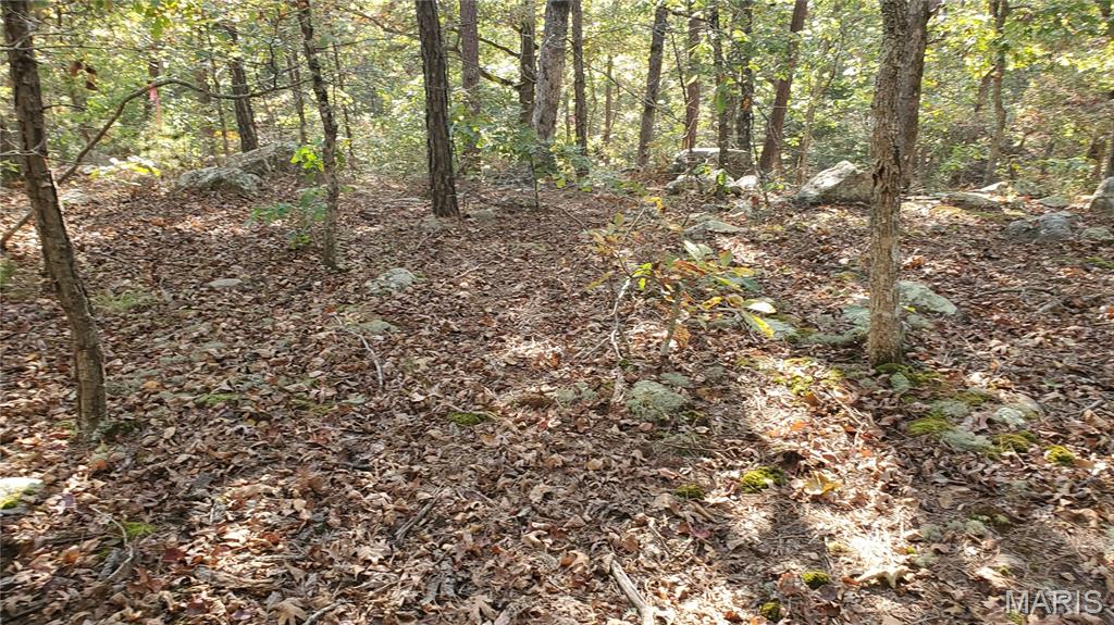 Photo 29 - Land for sale – 00  County Road 6030   Salem, MO