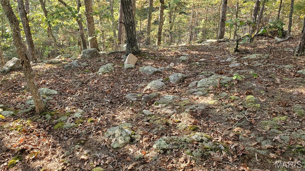 Photo 28 - Land for sale – 00  County Road 6030   Salem, MO