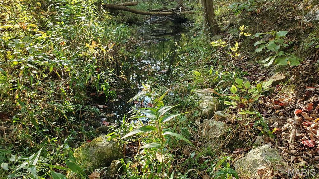 Photo 25 - Land for sale – 00  County Road 6030   Salem, MO
