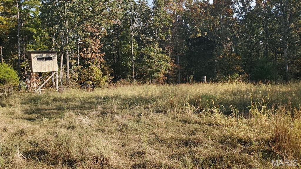 Photo 36 - Land for sale – 00  County Road 6030   Salem, MO