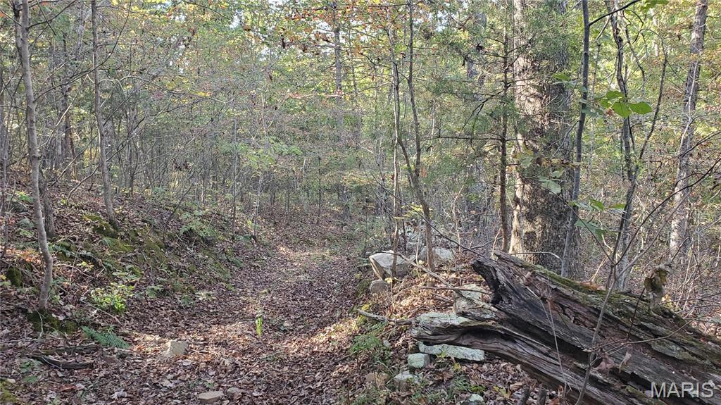 Photo 16 - Land for sale – 00  County Road 6030   Salem, MO