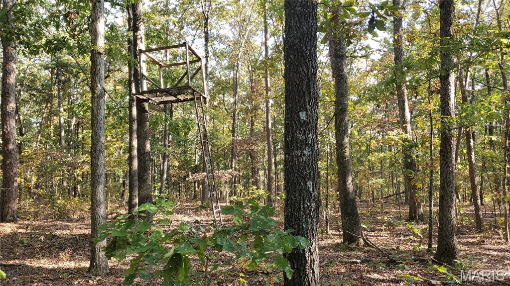 Photo 32 - Land for sale – 00  County Road 6030   Salem, MO