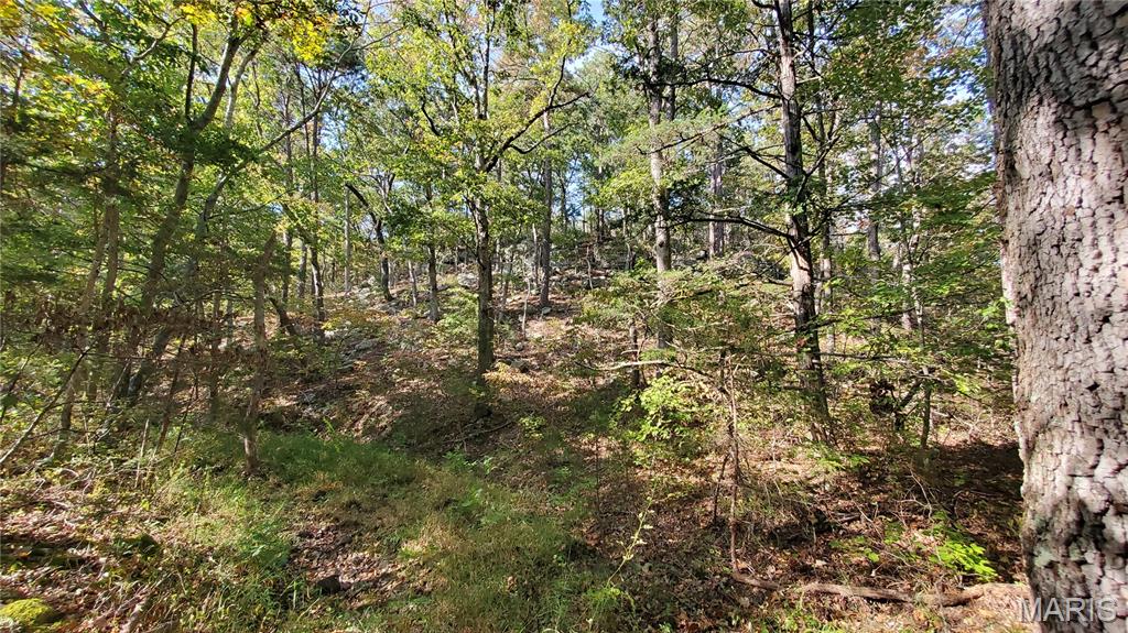 Photo 19 - Land for sale – 00  County Road 6030   Salem, MO