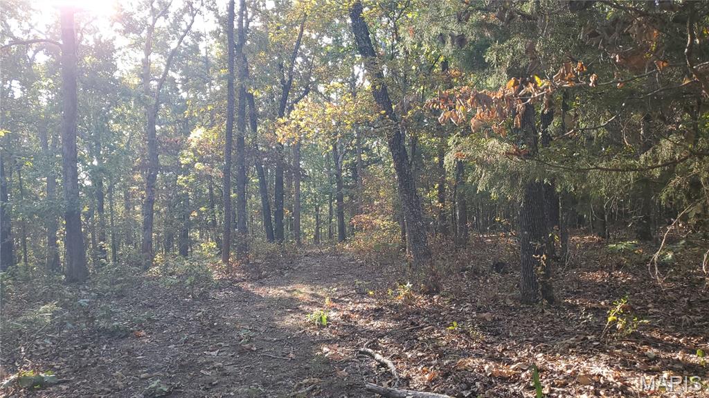 Photo 31 - Land for sale – 00  County Road 6030   Salem, MO