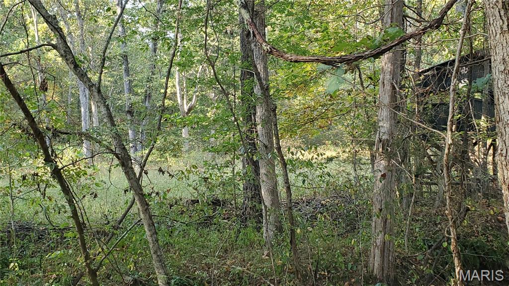 Photo 39 - Land for sale – 00  County Road 6030   Salem, MO