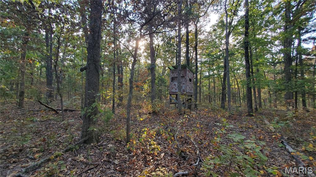 Photo 42 - Land for sale – 00  County Road 6030   Salem, MO