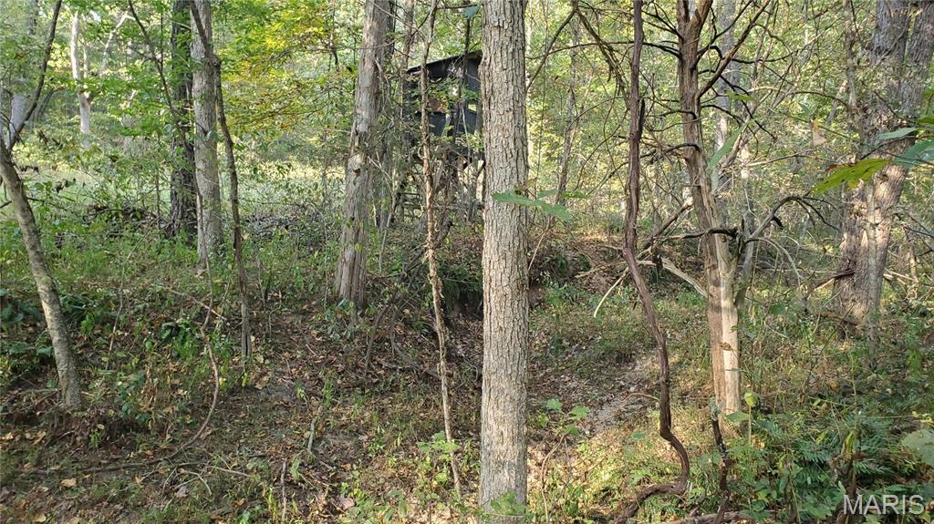 Photo 38 - Land for sale – 00  County Road 6030   Salem, MO