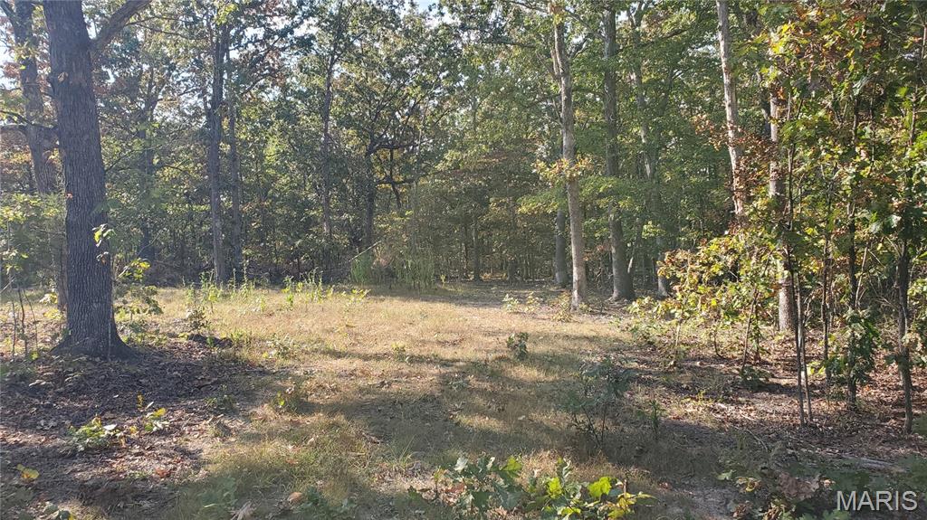 Photo 7 - Land for sale – 00  County Road 6030   Salem, MO