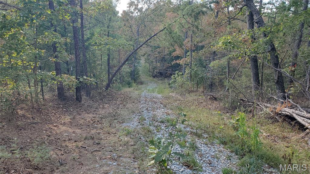 Photo 6 - Land for sale – 00  County Road 6030   Salem, MO