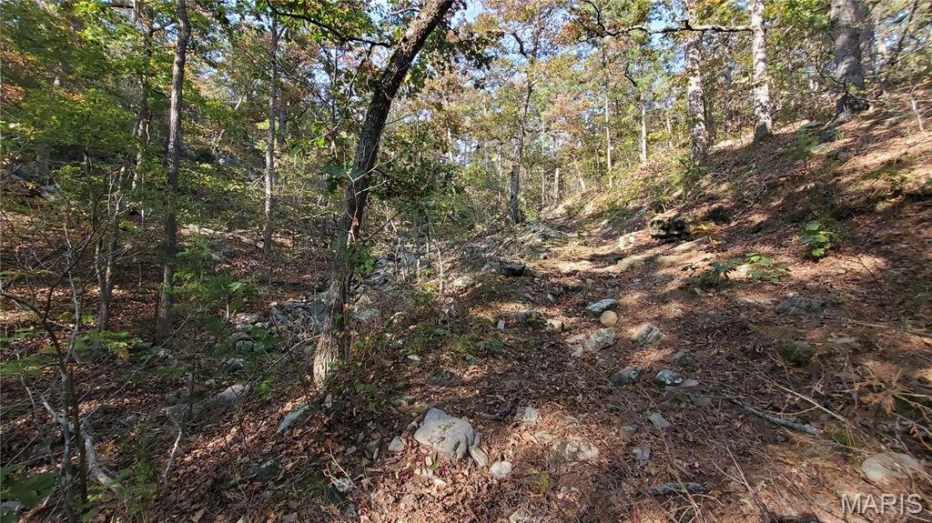 Photo 22 - Land for sale – 00  County Road 6030   Salem, MO