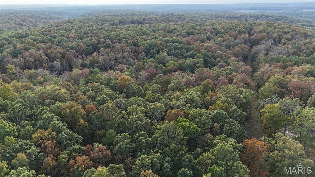 Photo 2 - Land for sale – 00  County Road 6030   Salem, MO