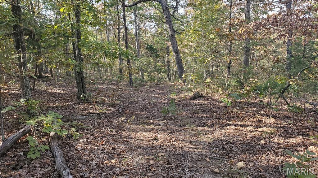Photo 14 - Land for sale – 00  County Road 6030   Salem, MO