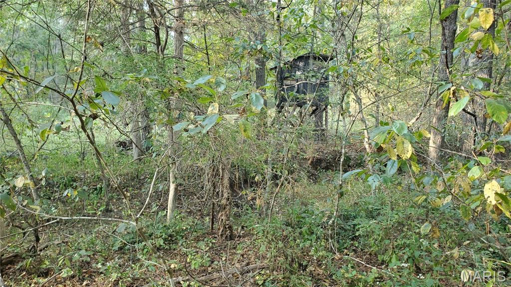 Photo 37 - Land for sale – 00  County Road 6030   Salem, MO