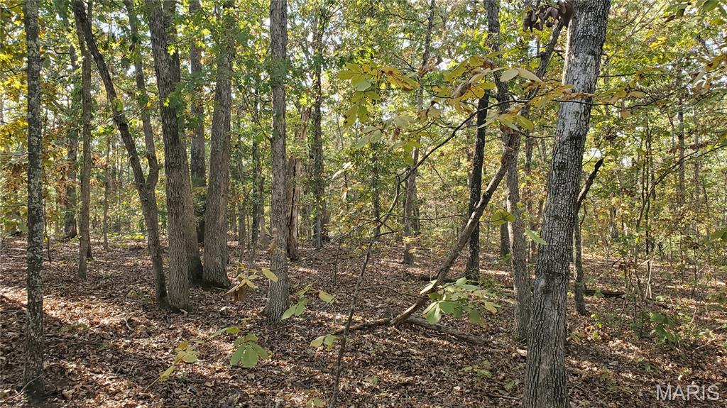 Photo 13 - Land for sale – 00  County Road 6030   Salem, MO